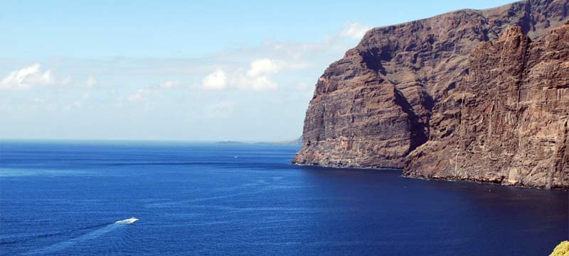 Drei Tierarten des Meeres, die Sie auf Teneriffa sehen knnen