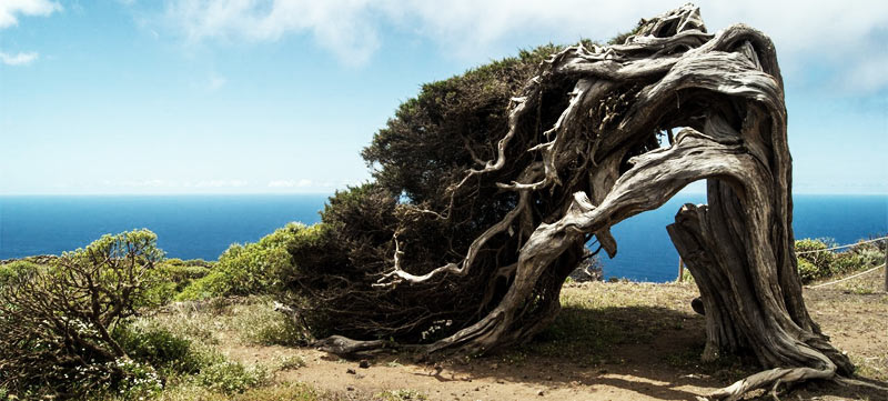 5 lugares que no puedes dejar de visitar en El Hierro