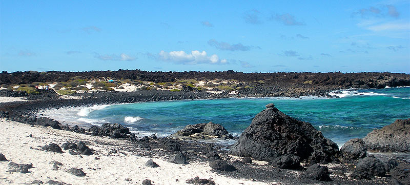 Seafood and fish in rzola, a village in Lanzarote 