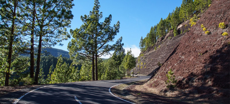 Da la bienvenida a la primavera con una escapada a Tenerife