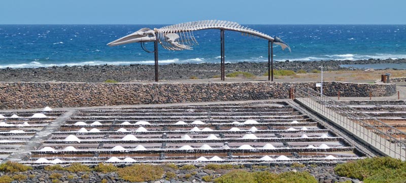 Ruta barata por Fuerteventura en 3 das